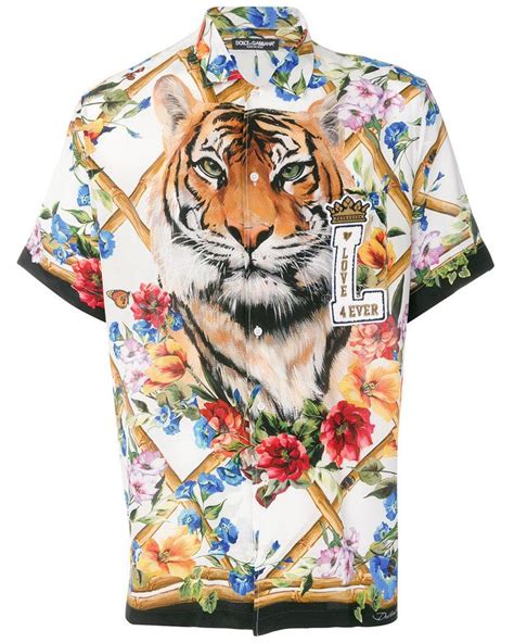 camisa dolce gabbana tigre|dolce gabbana t shirt.